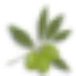 Site Icon
